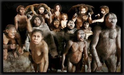 evrimin sureti evrimin sureti