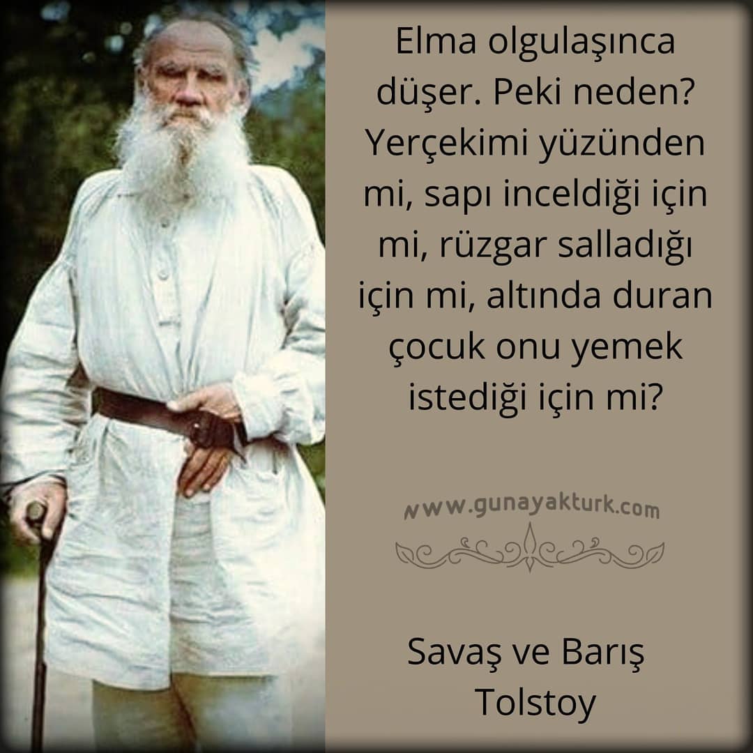 tolstoy ve elma