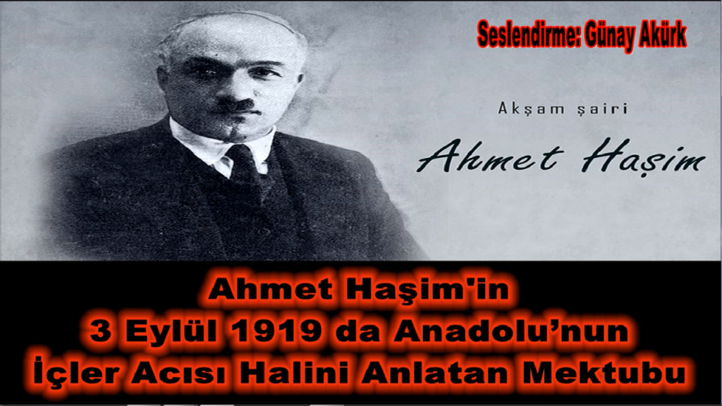 Ahmet Haşim - Anadolu Raporu - günay aktürk