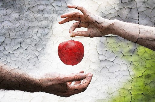 ilk günah - kısa makale, günay aktürk