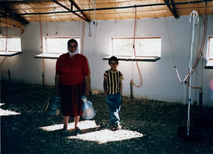 Günay Aktürk, makaleler Günay Aktürk, uzun makaleler