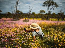 günaydın eylül, günay aktürk